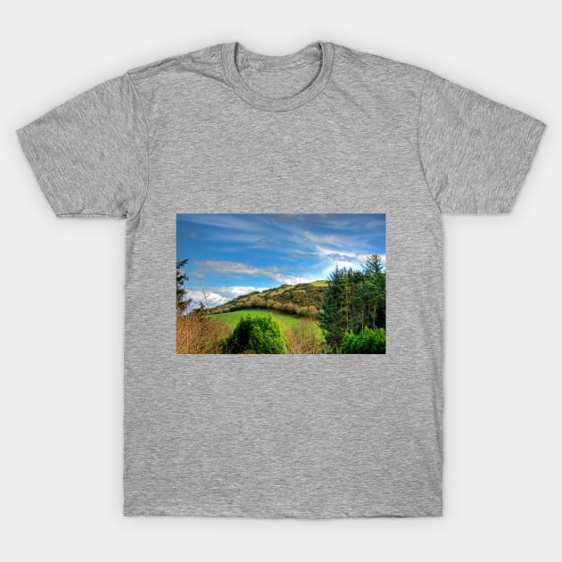 Beecraigs View T-Shirt by tomg